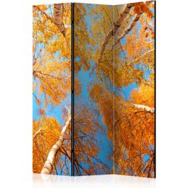Διαχωριστικό με 3 τμήματα - Autumnal treetops [Room Dividers]