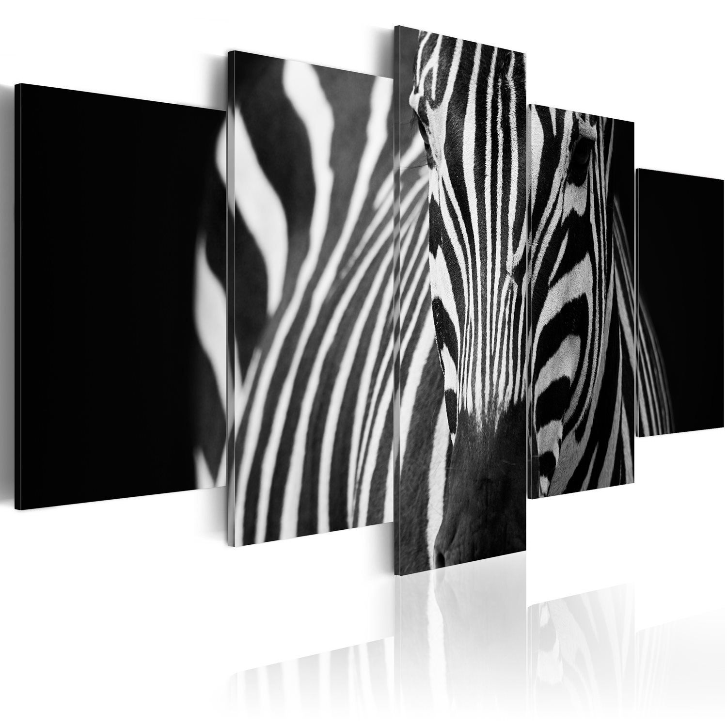 Zebra Print: 1 – Canvas & More