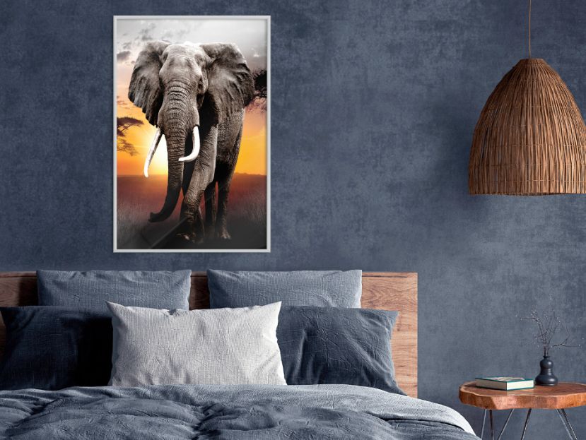 Αφίσα - Majestic Elephant - 30x45 - Μαύρο - Χωρίς πασπαρτού φωτογραφία